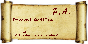 Pokorni Amáta névjegykártya